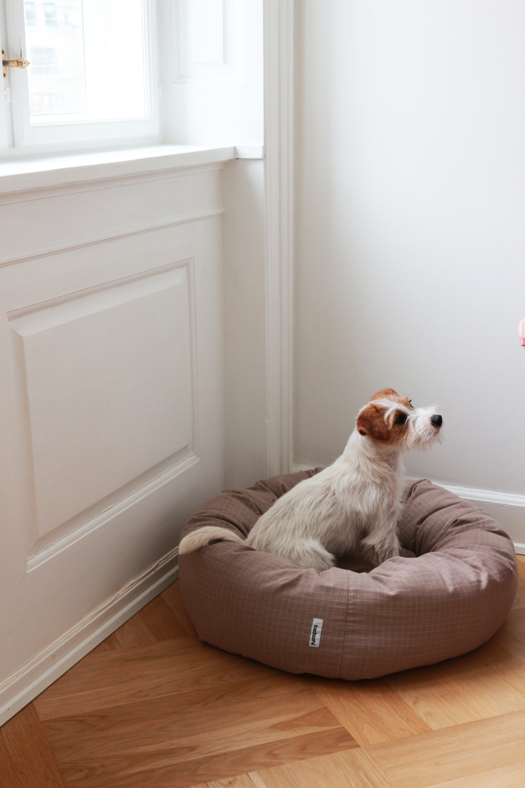 Donut koiranpeti Hiekka - Image 2