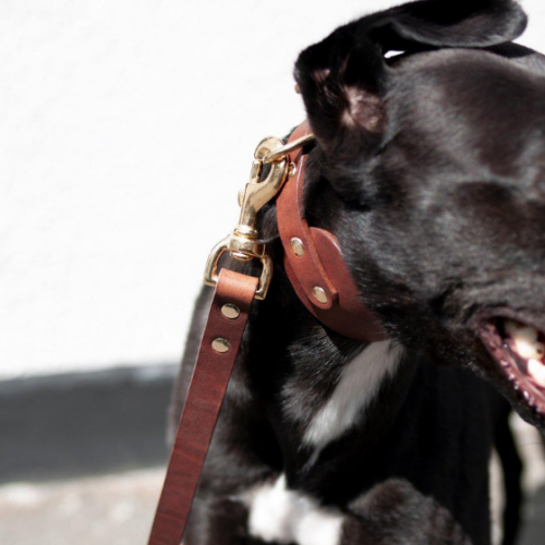 Alternative view of Classic hound nahkapanta konjakki