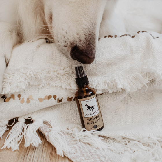 Micro Silverspray - Image 3