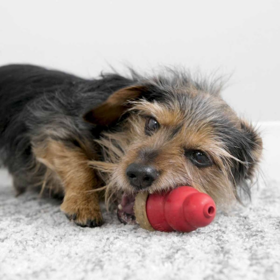 KONG Marathon 2kpl, maapähkinä - Image 4