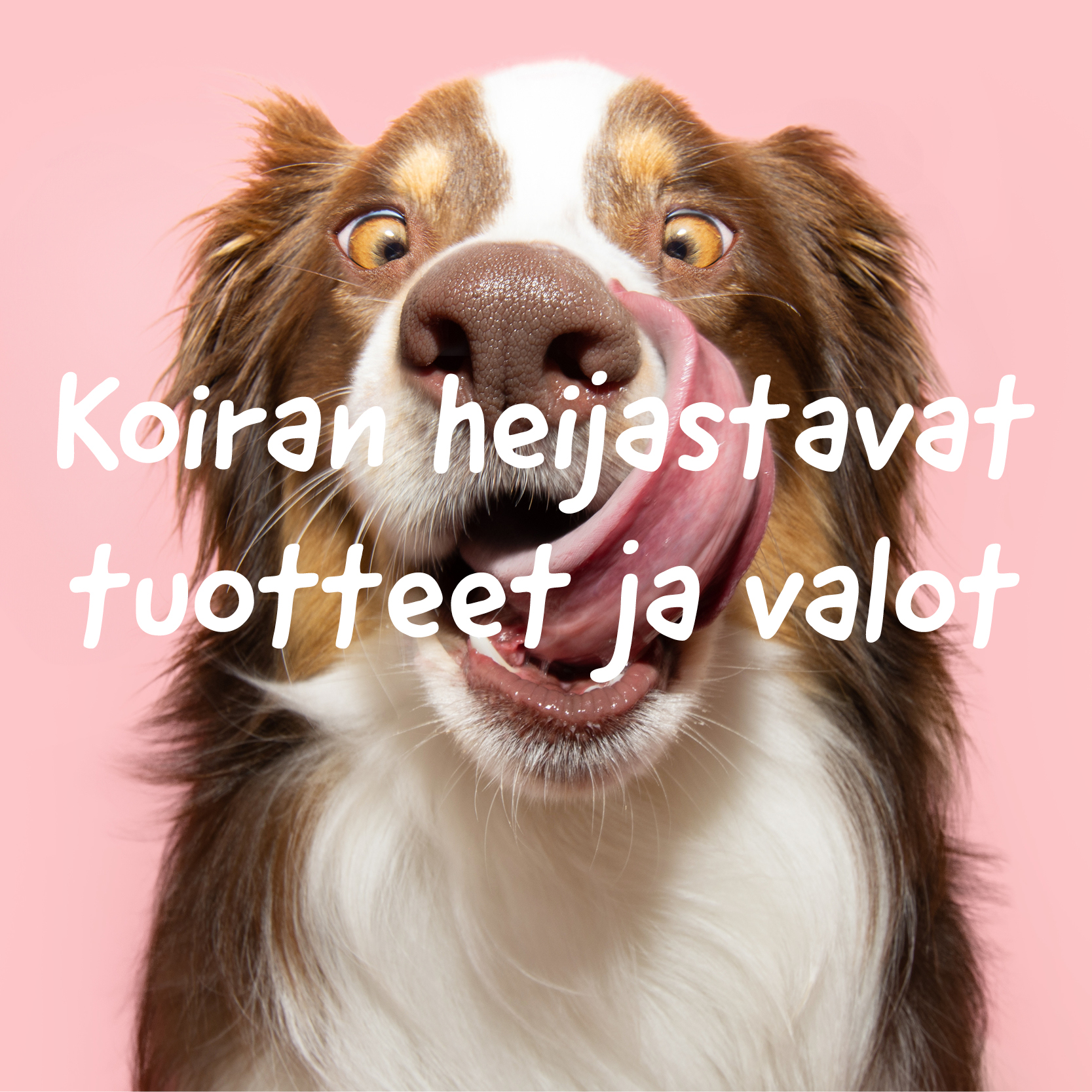 Heijastavat tuotteet ja valot