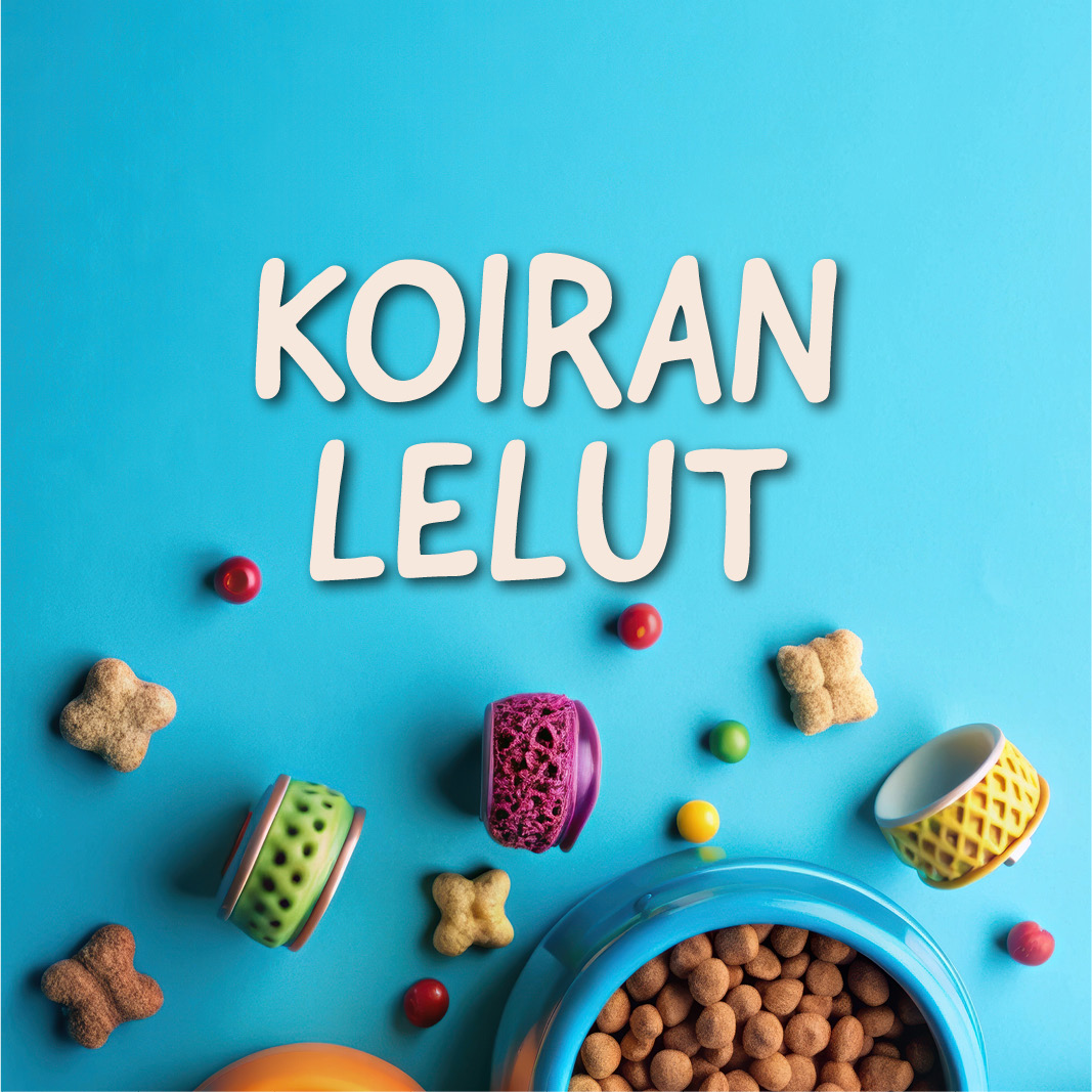 Koiran lelut