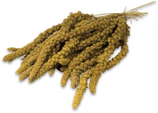 JR-Farm Hirssintähkä - Image 2