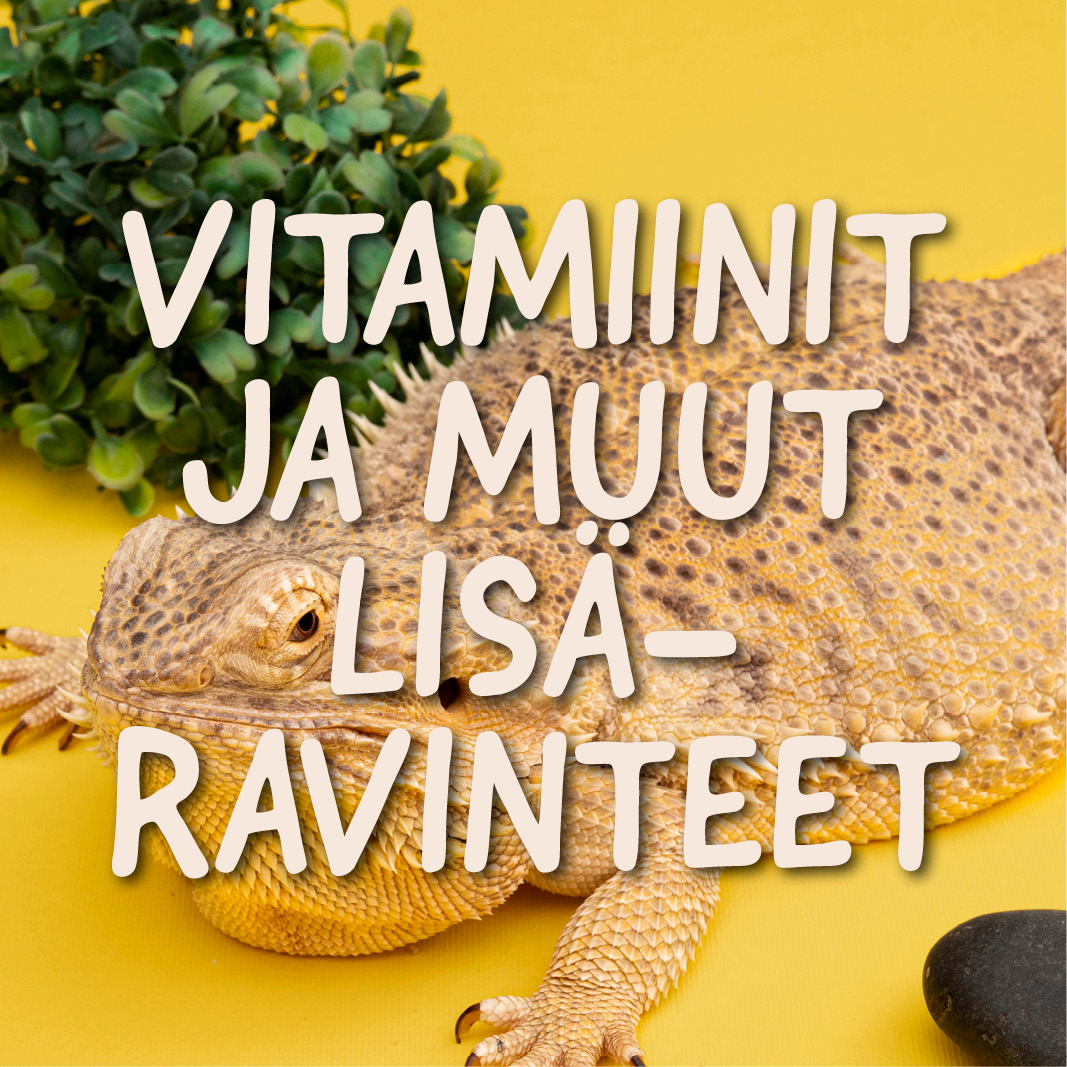 Vitamiinit ja muut lisäravinteet