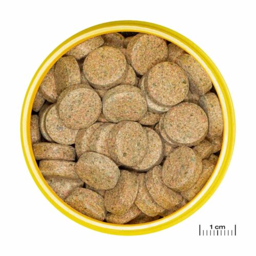 Alternative view of JBL ProNovo Tabletti M