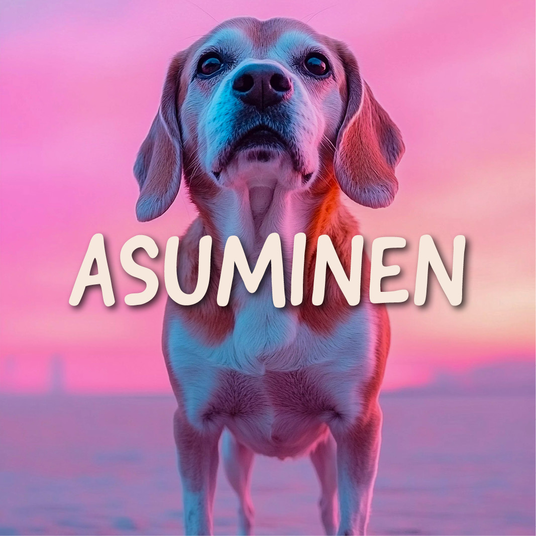 Asuminen