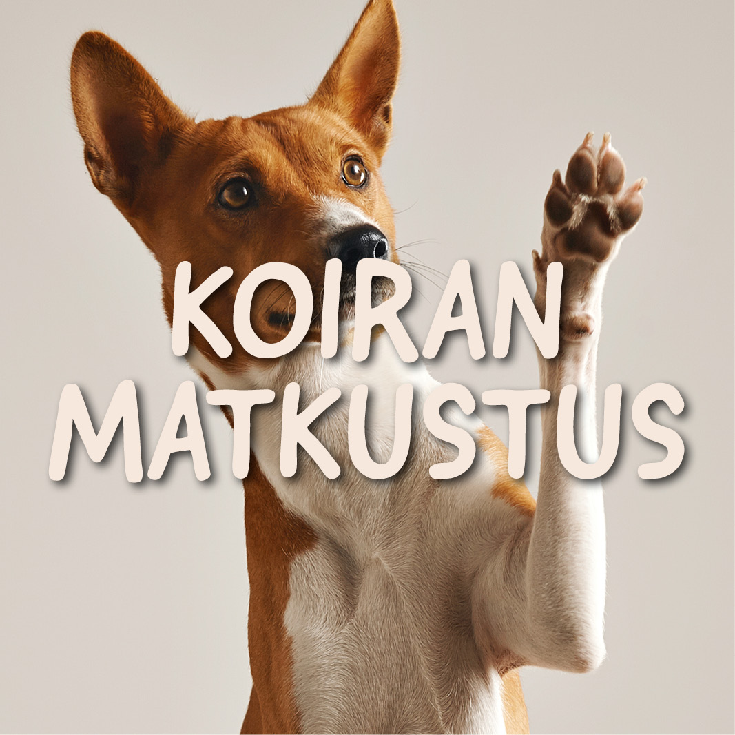 Koiran matkustus