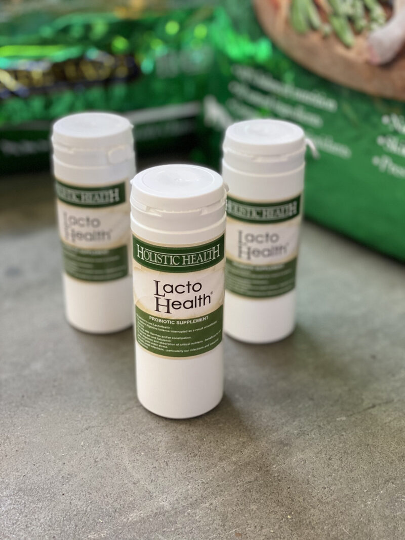 Holistic Health Lacto Health 50 g