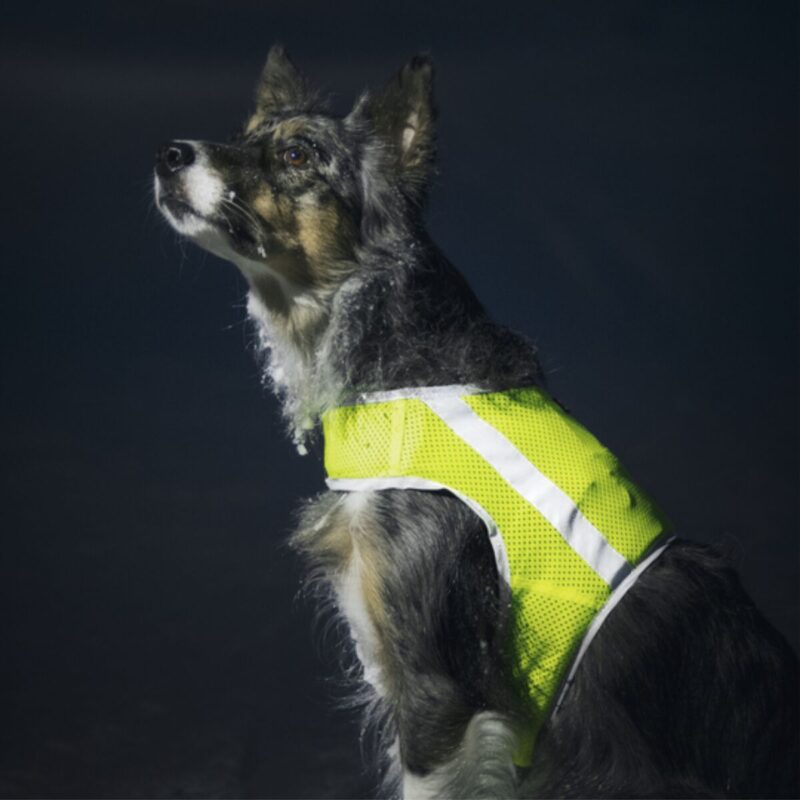 Finnero Atte Huomioliivi Keltainen - Image 3