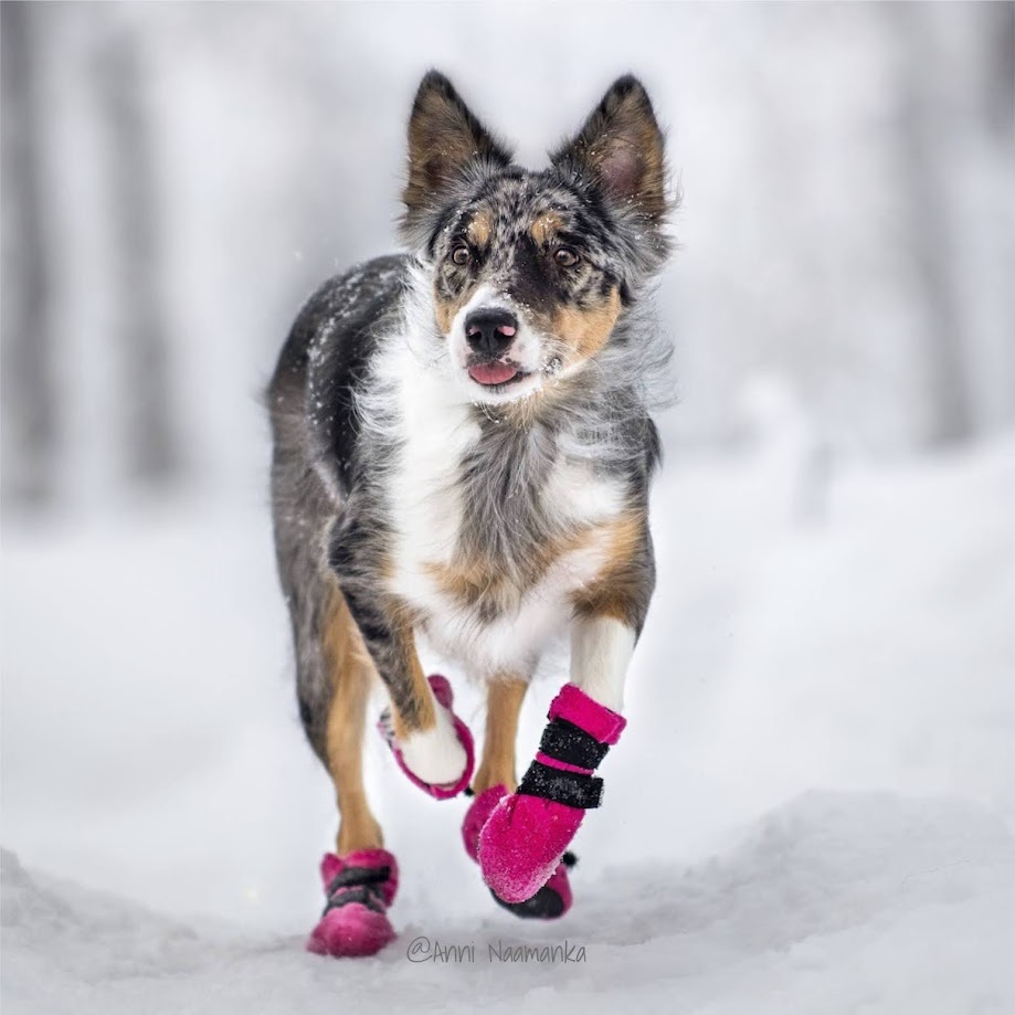 Finnero Halla Tossut - Image 9