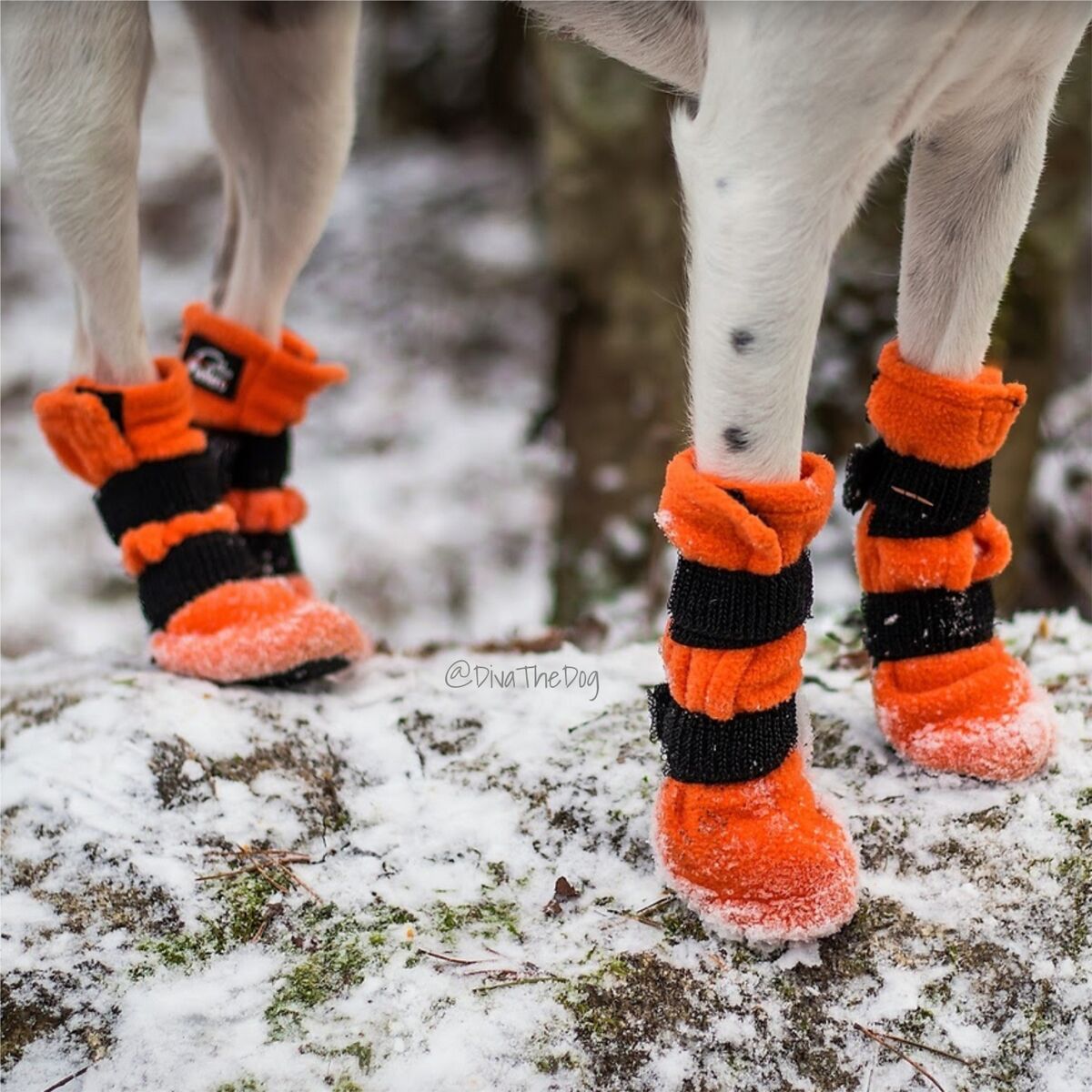 Finnero Halla Tossut - Image 4