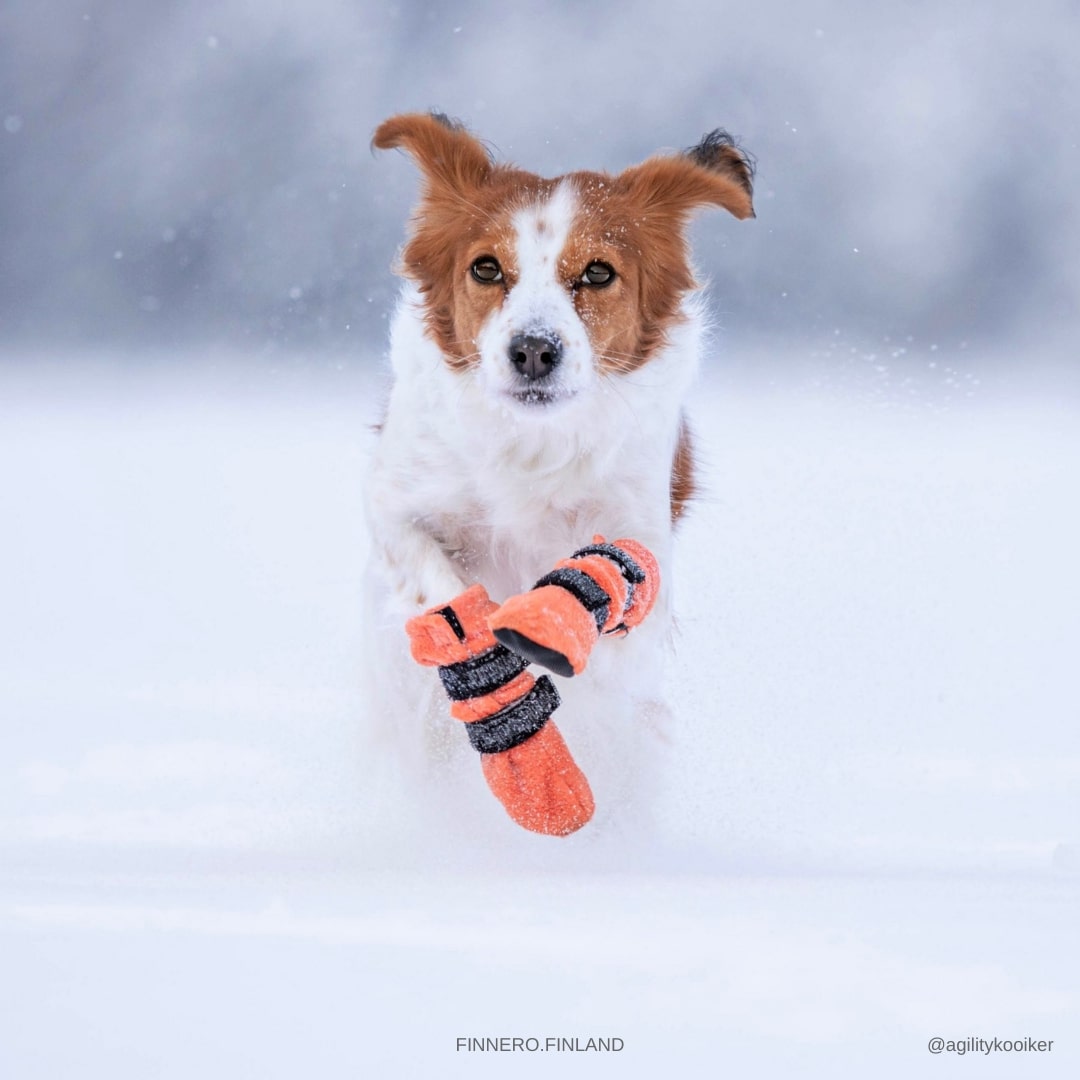 Finnero Halla Tossut